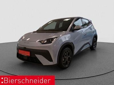 Nouă BYD Dolphin Surf Comfort 114 kW (156 CP) 2026 Albastru Hatchback