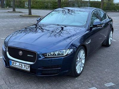 Usata Jaguar XE R-Sport 179 CV (131 kW) 2015 Berlina