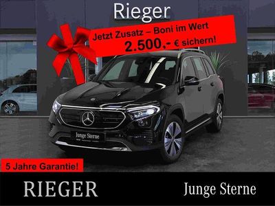 Mercedes EQB250