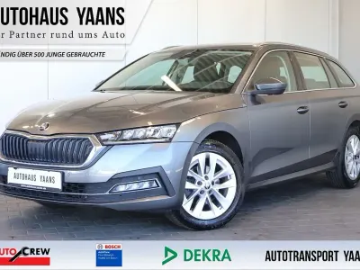 Gebraucht Skoda Octavia