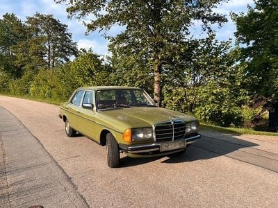 Grün Gebraucht 1981 Mercedes E300 Limousine | 10.500 €