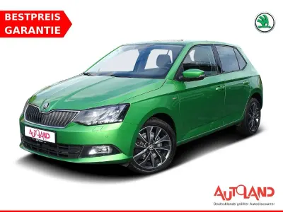 Gebraucht Skoda Fabia Drive 110 PS (80 kW) 2017 Grün Kleinwagen