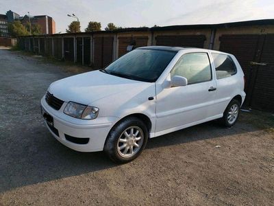 VW Polo