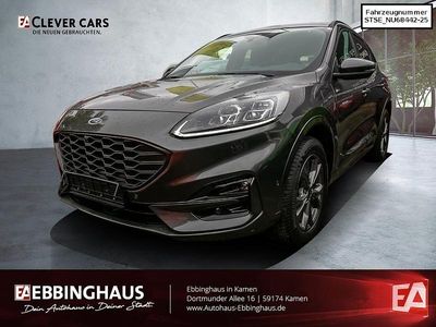 Gebraucht Ford Kuga ST-Line X 224 PS (164 kW) 2022 Grau SUV