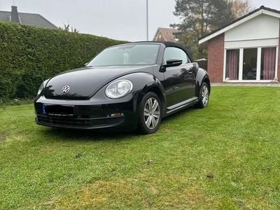 VW Beetle