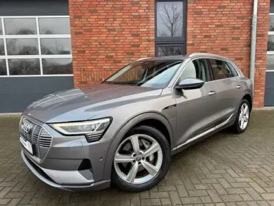 Usata Audi e-tron