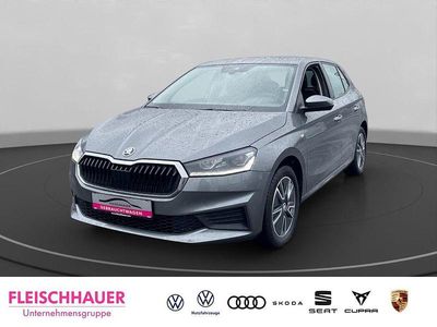 Gebraucht Skoda Fabia Tour 65 PS (47 kW) 2023 Grau Kleinwagen