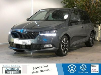 Grau Gebraucht 2020 Skoda Fabia Best of Kleinwagen | 12.990 € (Fairer Preis)