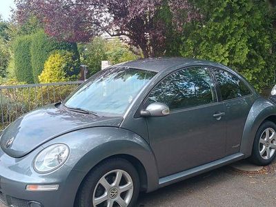 VW Beetle