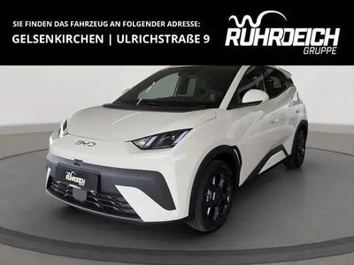 Neu BYD Dolphin Surf Comfort 114 kW (156 PS) 2025 Blau Kleinwagen