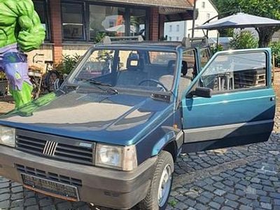 Gebraucht Fiat Panda 4x4 50 PS (36 kW) 1994 Grün Kleinwagen