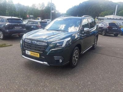 Usata Subaru Forester Comfort 150 CV (110 kW) 2024 Verde SUV
