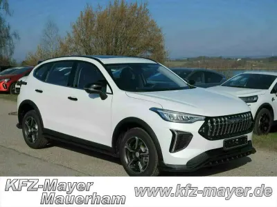 Nuova Haval Jolion Premium 177 CV (130 kW) 2026 Grigio SUV
