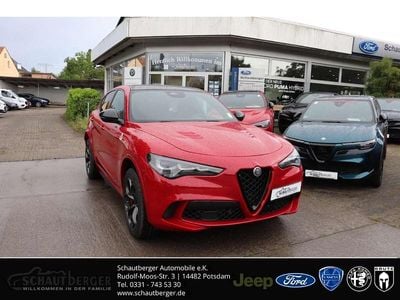 Neu Alfa Romeo Stelvio Quadrifoglio 519 PS (381 kW) 2025 Rot SUV