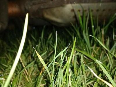 Gebraucht Ford Fiesta 70 PS (51 kW) 2005 Schwarz Kleinwagen