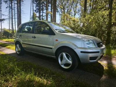 Brugt Ford Fusion 2004 Grå Hatchback