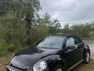 VW Beetle