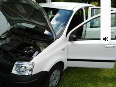 Usata Fiat Panda 54 CV (39 kW) 2009 Bianco Utilitaria