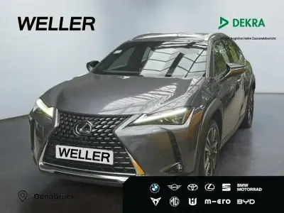 Gebraucht Lexus UX 250h Luxury Line 178 PS (130 kW) 2019 Grau SUV