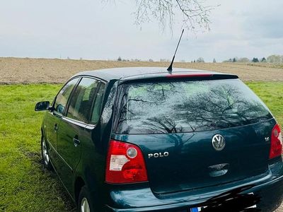 Usata VW Polo 75 CV (55 kW) 2003 Verde Utilitaria