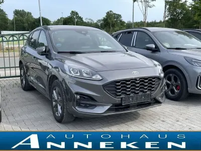 Usata Ford Kuga ST-Line 224 CV (164 kW) 2022 Grigio SUV