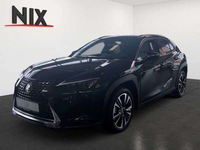 gebraucht Lexus UX 250h Executive Line SCHIEBEDACH PREMIUM PAKET KAMERA