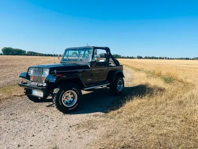 Gebraucht Jeep Wrangler 180 PS (132 kW) 1994 Schwarz SUV