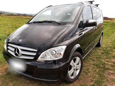 Mercedes Viano