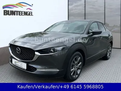 Second-hand Mazda CX-30 Selection 186 CP (136 kW) 2022 Gri SUV