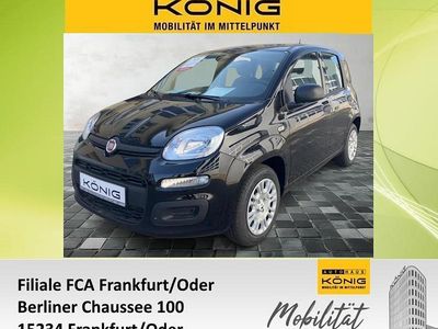 Neu Fiat Panda 69 PS (50 kW) 2025 Schwarz Kleinwagen