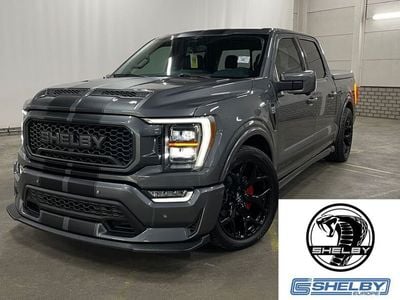 Grau Gebraucht 2024 Ford Shelby SUV | 159.900 €