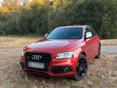 Gebraucht Audi SQ5 Comfort 326 PS (239 kW) 2016 Rot SUV