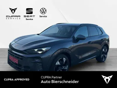 Gebraucht Cupra Terramar