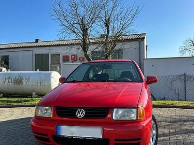 VW Polo