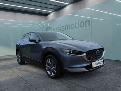Gebraucht Mazda CX-30 Selection 116 PS (85 kW) 2019 Grau SUV