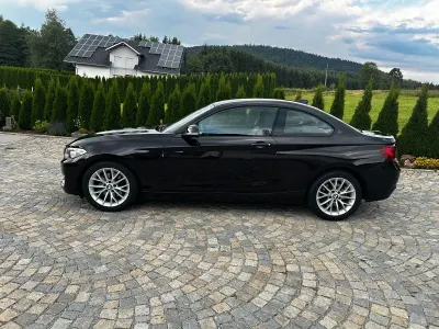 Gebraucht BMW 220 Advantage 184 PS (135 kW) 2015 Braun Coupé