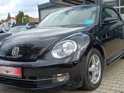 VW Beetle
