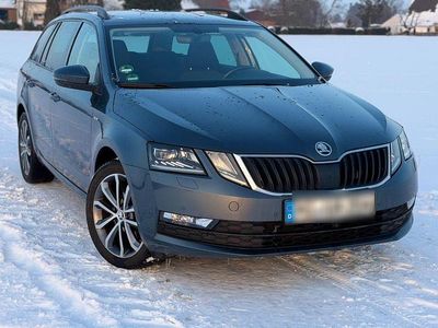 Gebraucht Skoda Octavia Soleil 150 PS (110 kW) 2019 Grau Kombi