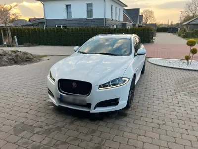 Usata Jaguar XF Sportbrake 275 CV (202 kW) 2013 Bianco Station wagon
