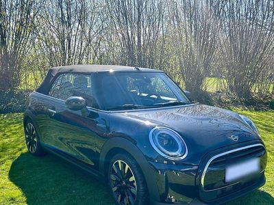 Usata Mini Cooper Classic 136 CV (100 kW) 2023 Nero Utilitaria