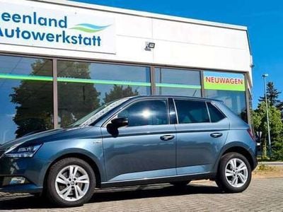 Gebraucht Skoda Fabia Style 110 PS (80 kW) 2018 Grau Kleinwagen