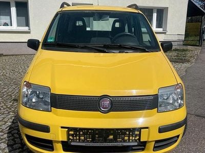 Usata Fiat Panda 54 CV (39 kW) 2008 Giallo Utilitaria