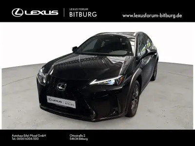 Gebraucht Lexus UX 300h