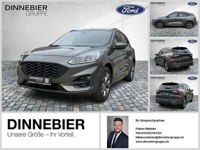 Gebraucht Ford Kuga ST-Line X 150 PS (110 kW) 2023 Grau SUV
