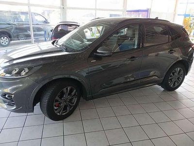 Gebraucht Ford Kuga ST-Line X 150 PS (110 kW) 2024 Grau SUV