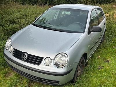 VW Polo