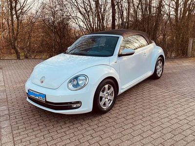 Gebraucht VW Beetle Allstar 104 PS (76 kW) 2016 Weiß Kleinwagen