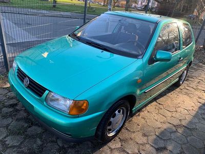 Usata VW Polo 60 CV (44 kW) 1996 Verde Utilitaria