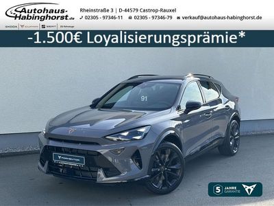 Neu Cupra Formentor VZ 265 PS (194 kW) 2025 Grau SUV