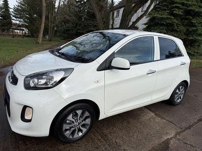Gebraucht Kia Picanto Spirit 86 PS (63 kW) 2015 Weiß Kleinwagen